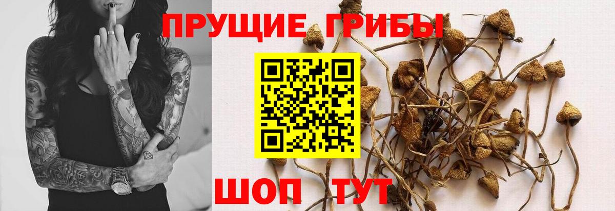 Уварово  Псилоцибиновые грибы Magic Shrooms  Вход с VPN 