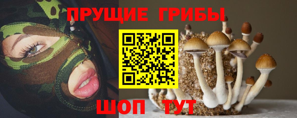 Галлюциногенные грибы GOLDEN TEACHER Уварово